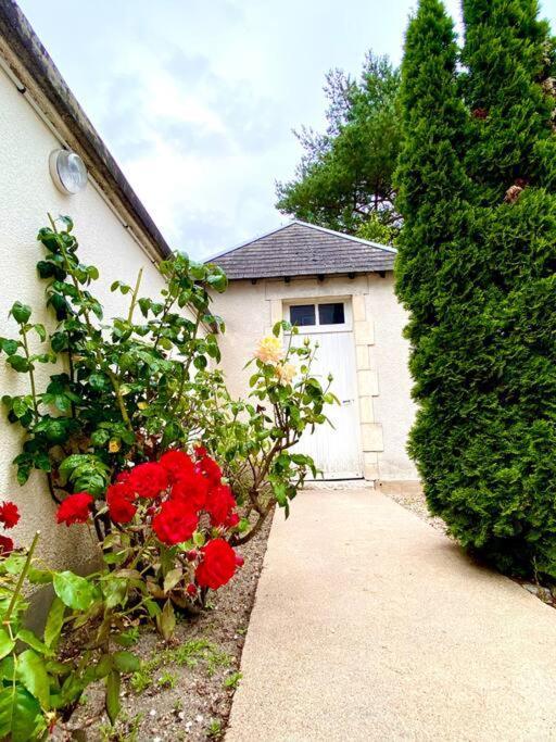 Demeure St Martin Villa Vierzon Luaran gambar